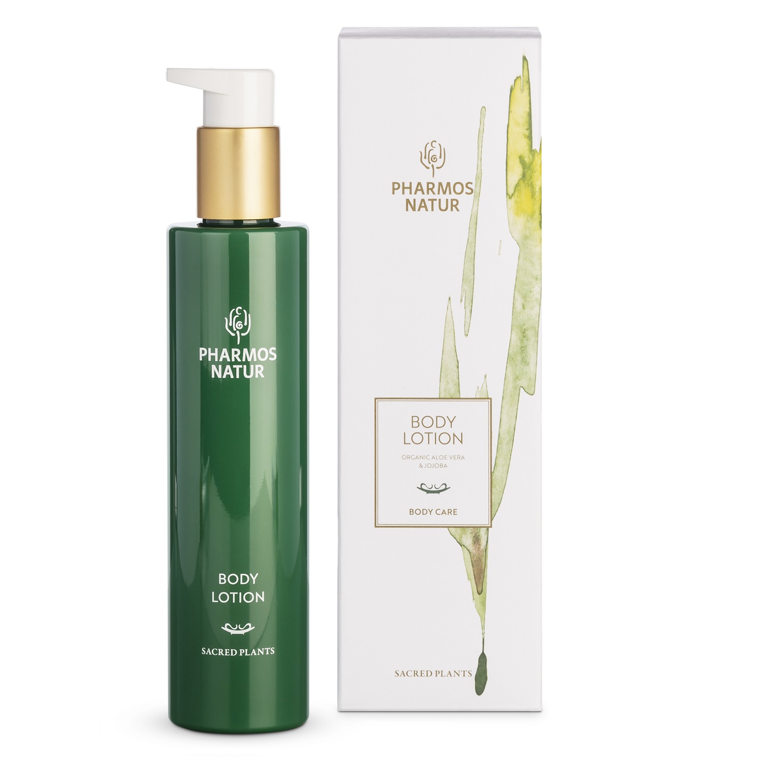 Body Lotion