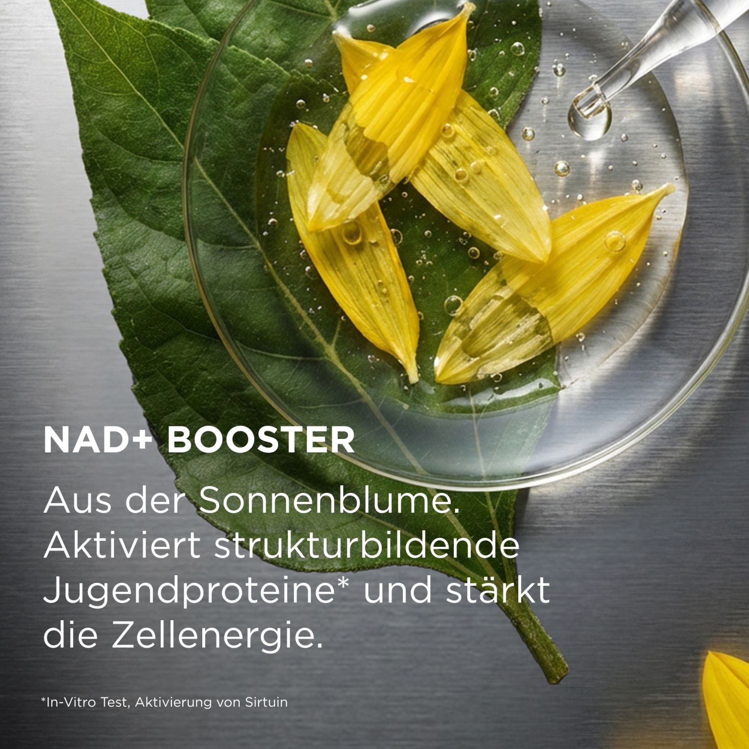 SYSTEM ABSOLUTE Verjüngendes Beauty-Fluid Serum
