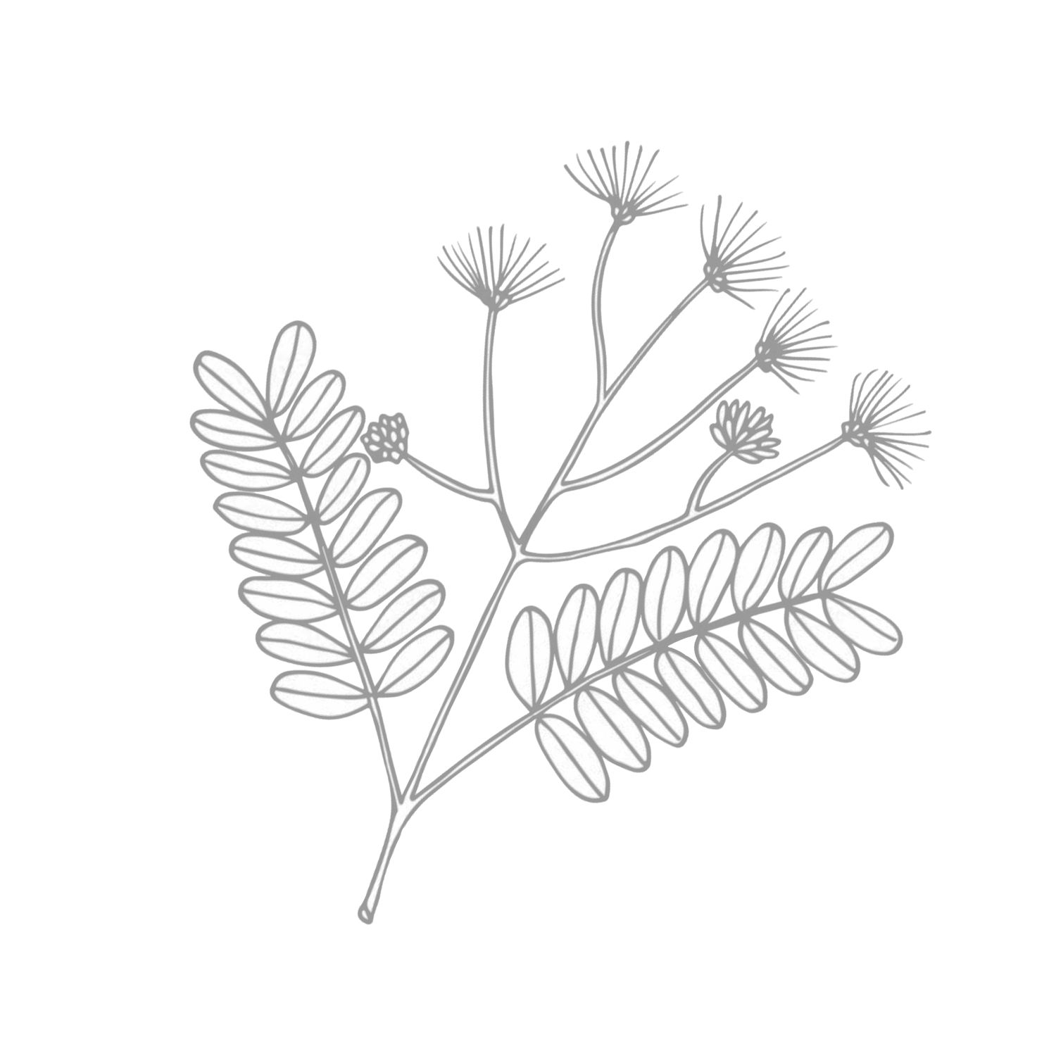 Augencreme