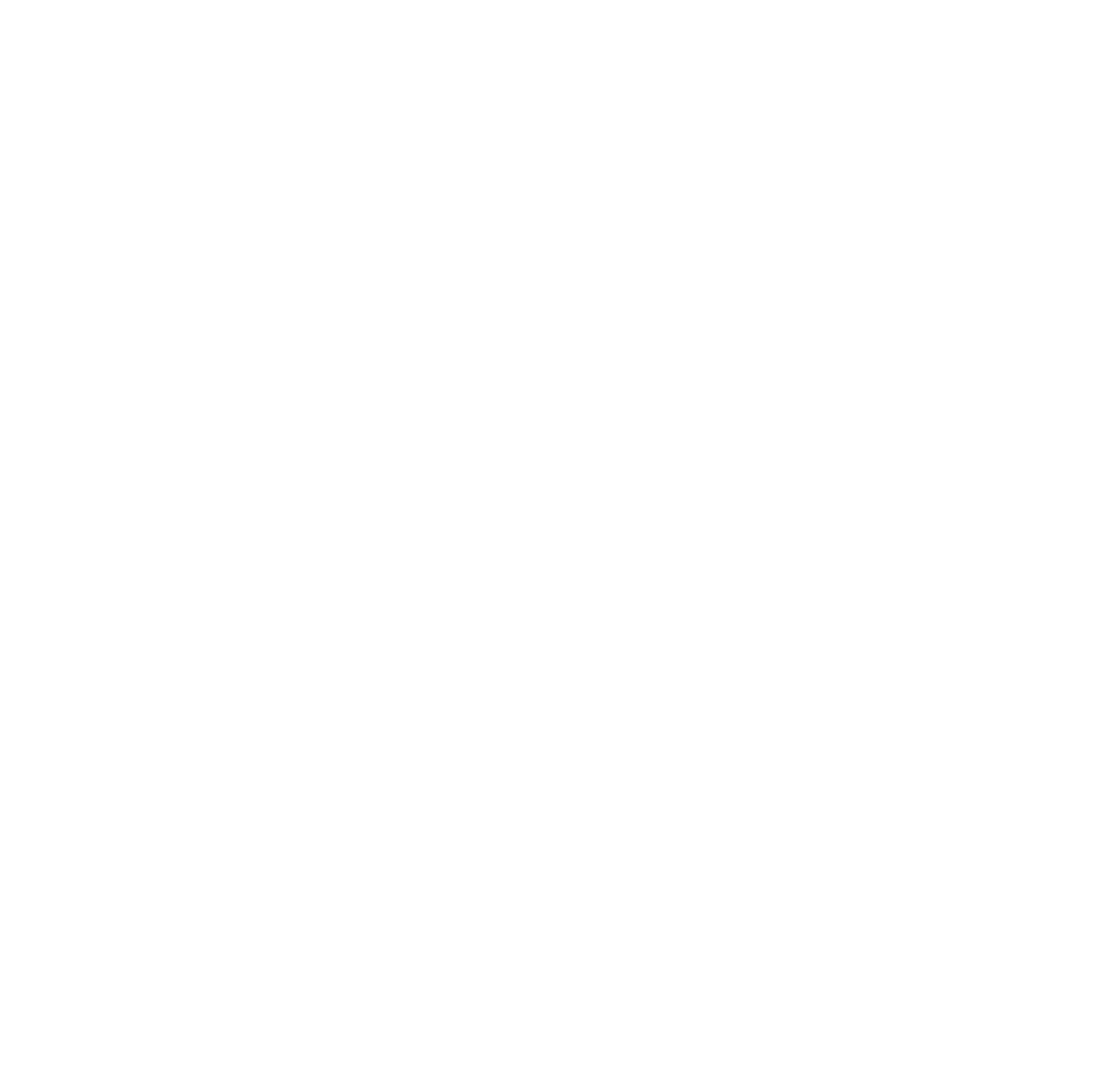 Social Media Icon 2
