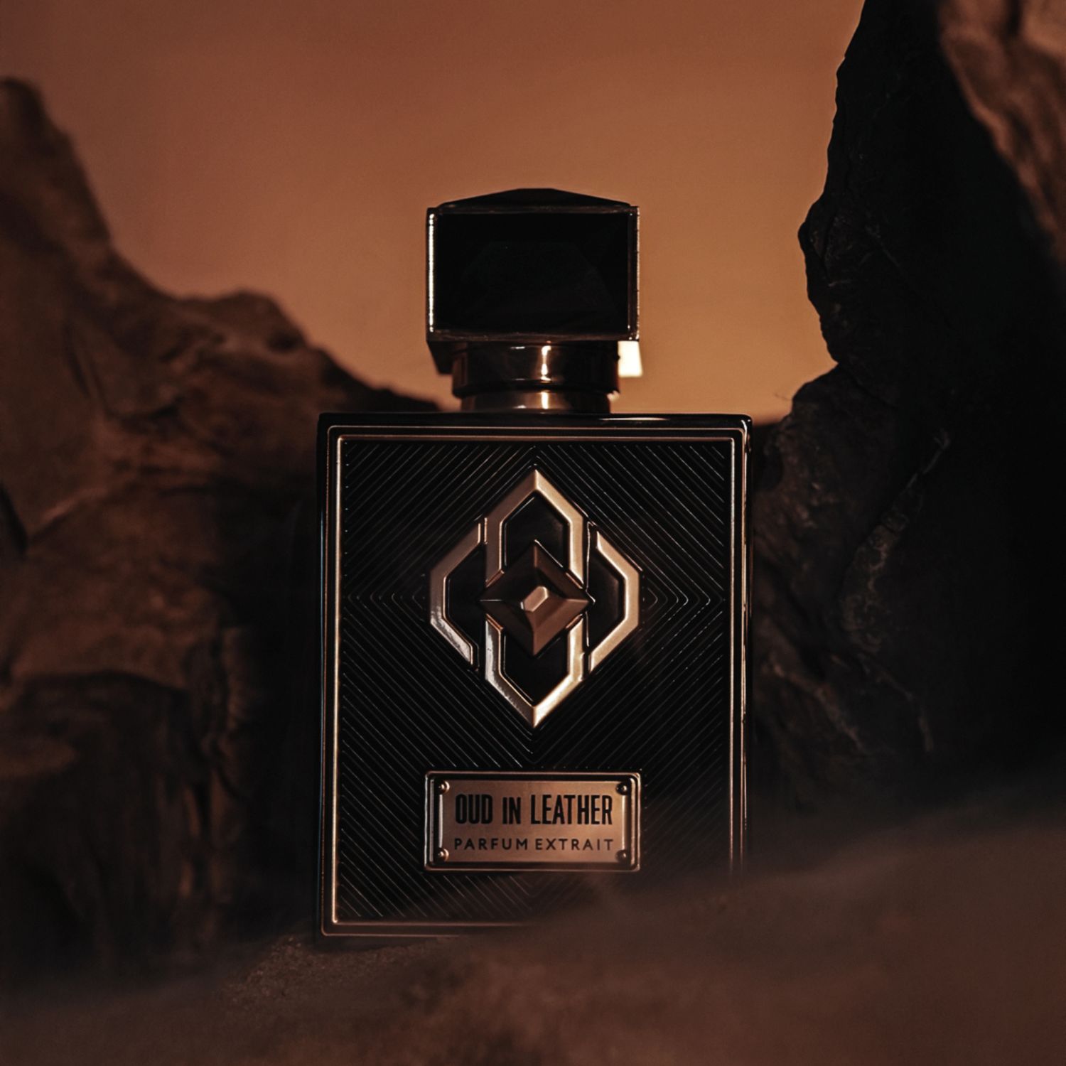 Oud in Leather Parfum Extrait